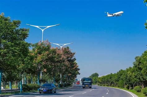 空港新城大力推进高品质市政基础设施和绿化建设-陕西省西咸新区开发建设管理委员会