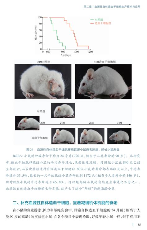 逆龄小鼠：脱发、皱纹可能有救了—论文—科学网