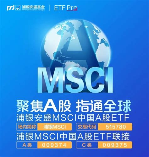 请教大佬，怎么查看MSCI中国全股票指数的名单 - 集思录