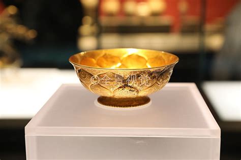 金鸳鸯图片
