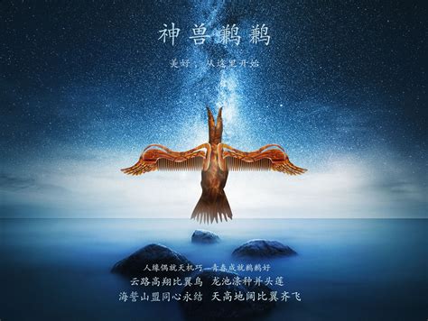 比翼鸟又名鹣鹣、鹣鲽、蛮蛮此鸟仅一目图片