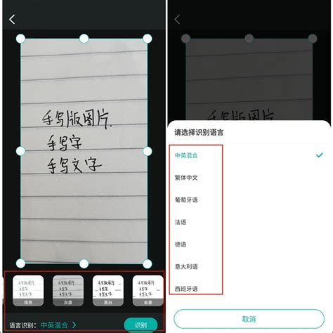 字体识别图片
