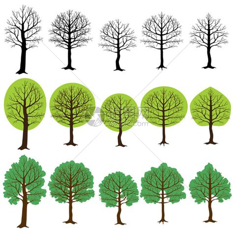 树的种类有哪些？十大常见树木的种类