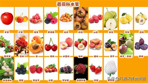 罕见的水果名称大全,50种罕见水果,100种罕见水果排名_大山谷图库