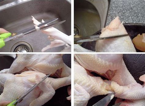 整鸡怎么处理？整个鸡子的清洗和处理方法图解-聚餐网