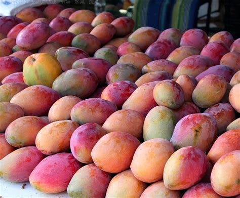 越南今年水果出口有望超过18亿美元，挑战与机遇并存 | 国际果蔬报道