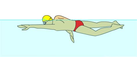 最全自由泳标准动作讲解_手臂
