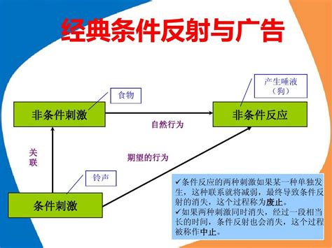 中学教资科二 DAY10 - 知乎