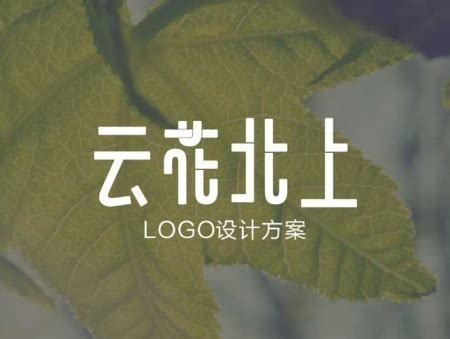 logo提案_鲁山摄影设计-站酷ZCOOL