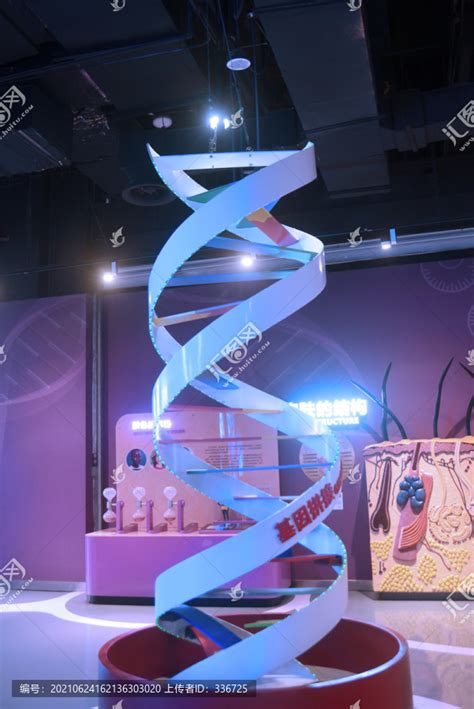 生命科学DNA链条PPT背景图片_其他背景图片_PPT背景_PPT模板_亿库在线