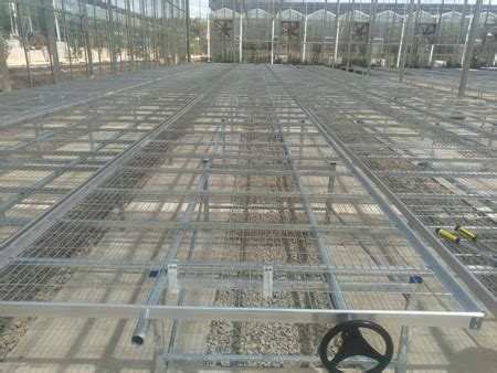 安平苗床网/热镀锌苗床网片生产厂家 - - 供应 - 园林资材网