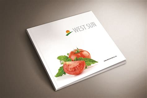 西域阳光食品画册设计