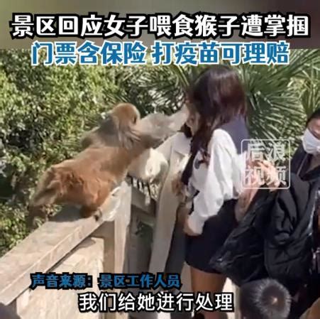 女子给猴子喂食被掌掴 景区这样回应 _城市_中国小康网