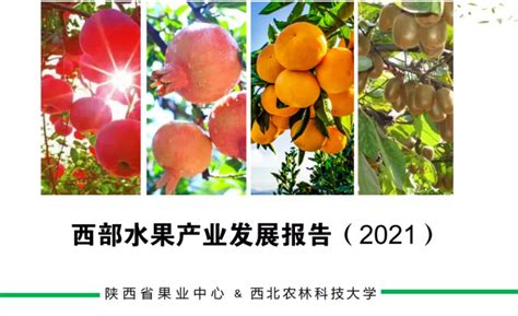 云南省“十四五”水果产业政策梳理