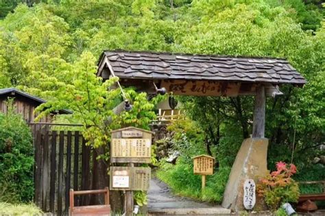 日媒推荐的这些值得一去的日本牧场,确实温馨又治愈！|大自然|牧场|日本_新浪新闻