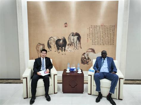 中华人民共和国驻南苏丹共和国大使馆经济商务处