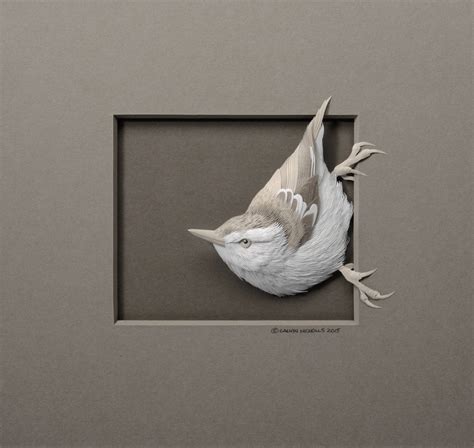 栩栩如生的动物纸浮雕肖像 | 加拿大纸艺术家 Calvin Nicholls|肖像|艺术家|动物_新浪新闻