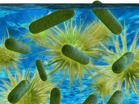 军团菌的祖先——导致军团病的细菌——20亿年前感染的细胞_细胞中国