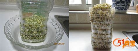 在家自己用饮料瓶制作豆芽，你学会了吗 - 废物利用手工DIY小制作 - 51费宝网