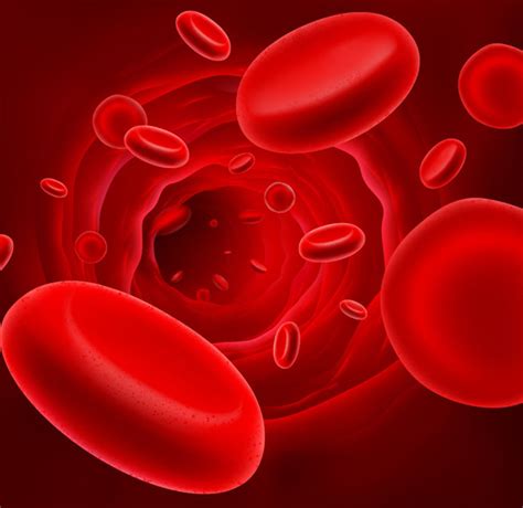 鸡血为什么是红色的？ 红细胞的颜色来自哪里？|鸡血|为什么-知识百科-川北在线