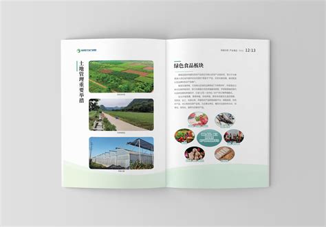 南沙农业集团2022宣传册设计-广州先领策划