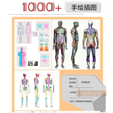 艺用人体姿态高清素材全套2200幅图片