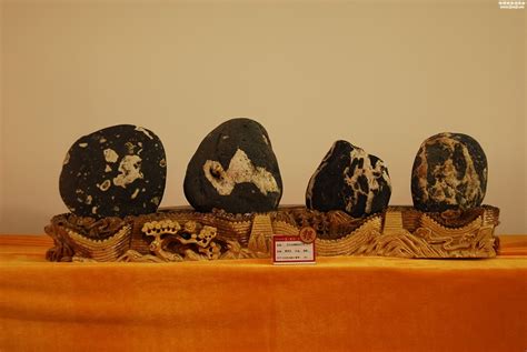 奇石的艺术性和审美性之我见 图 - 华夏奇石网 - 洛阳市赏石协会官方网站