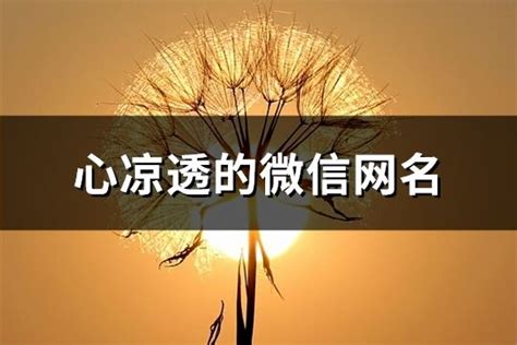 心凉透的微信网名(共833个)-淘名吧网