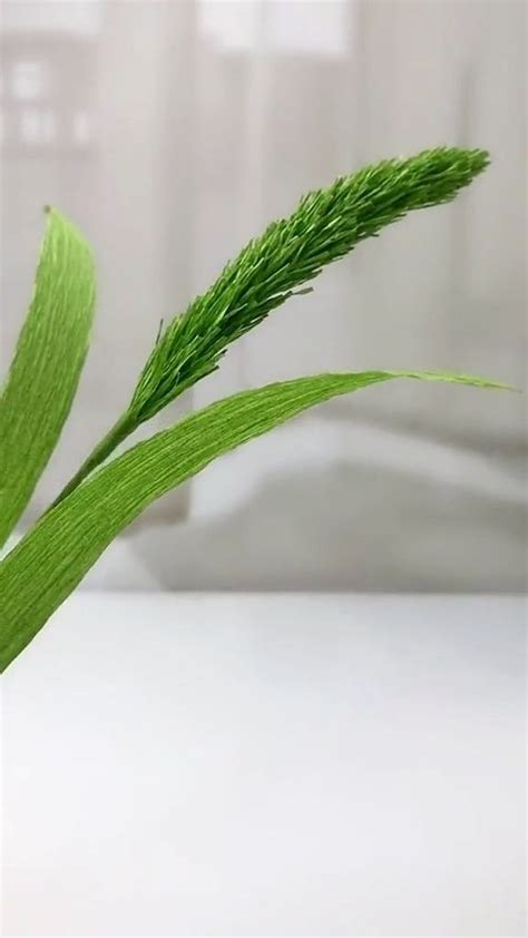 晒干的益母草怎么使用 晒干的益母草怎么吃效果最好_中药知识_绿茶说