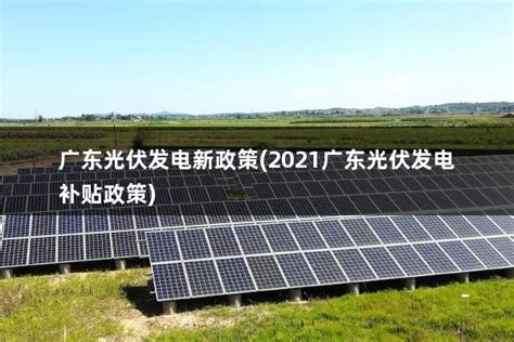 广东光伏发电新政策(2021广东光伏发电补贴政策) - 太阳能光伏板
