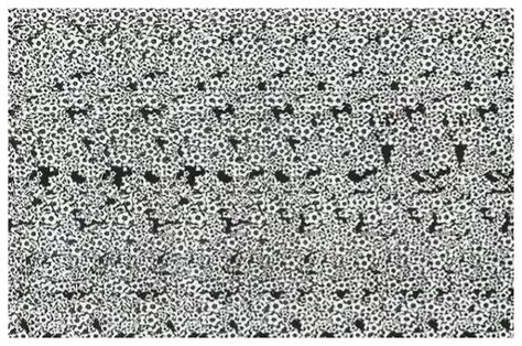 考眼力丨你能看出几个人？_张图