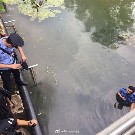 上海警方通报公交车坠河：司机昏迷前曾让乘客下车_凤凰网视频_凤凰网