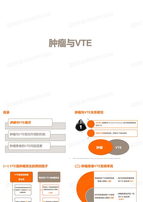 VTE预防患教视频