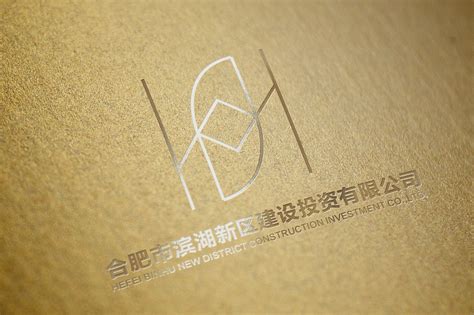 合肥百大集团 - 安徽产业网