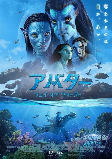 《阿凡达2：水之道》开始配乐 12月北美上映_手机新浪网