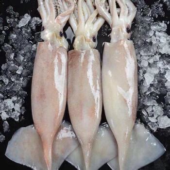 初鲜鲜冻鱿鱼头鱿鱼须 400g 5-7只 铁板鱿鱼 涮火锅食材 国产海鲜-商品详情-光明菜管家