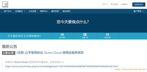 Durex Cloud香港HKT KVM VPS：170元/月/2核/2GB内存/20GB空间/不限流量@100Mbps端口-老刘测评