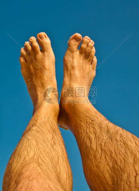 脚手架半 的图像结果