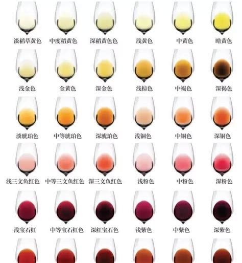 白葡萄酒和红葡萄酒什么区别？ ？ - 知乎