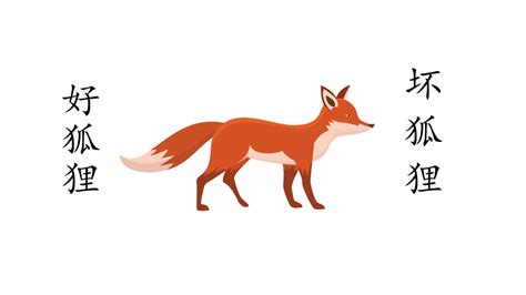 关于狐狸的成语 狐狸的成语有哪些_知秀网