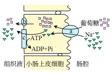钠离子电池的工作原理、组成与应用_检测资讯_嘉峪检测网
