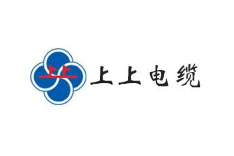 国内十大电线品牌排行榜 熊猫电线上榜，远东电缆排名第一_排行榜123网