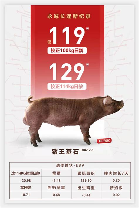 不同年份属猪2021幸运号码分别是多少 - 第一星座网