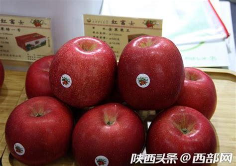一个苹果卖到58 凤翔苹果第十二届亚果会上备受青睐_手机新浪网