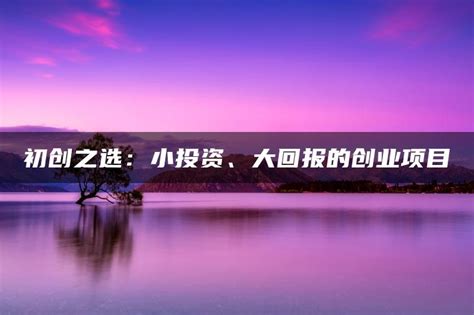 低成本高利润项目有哪些？10个适合新手的创业项目_海水