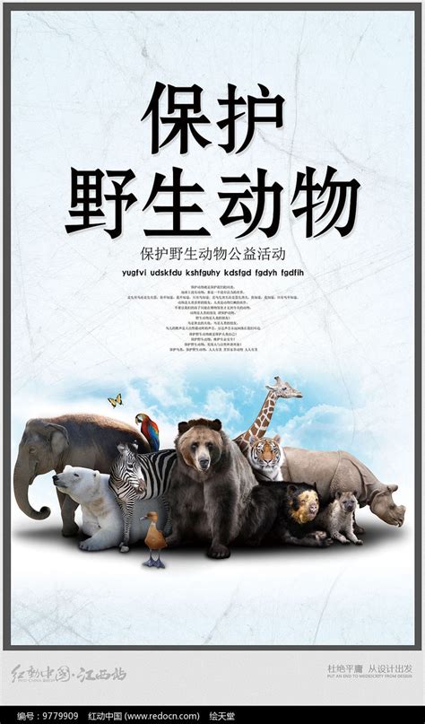 保护野生动物创意简约海报|平面|海报|福玉石 - 原创作品 - 站酷 (ZCOOL)