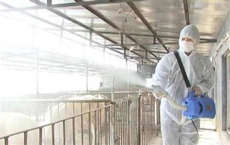 猪场消毒方法，猪场常见的消毒方法有哪些？ - 畜小牧养殖网