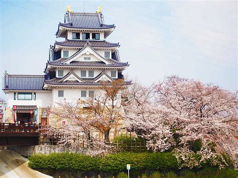 墨俣一夜城の口コミ | 秀吉が築いた「一夜城伝説の地」で見る約1,000本の桜 - TRIPROUD