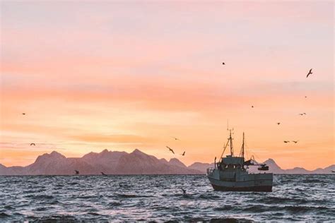 2022年中国渔业现状及发展趋势分析，政策促进渔业高质量发展「图」_趋势频道-华经情报网