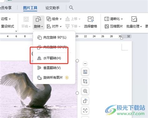 镜像图片